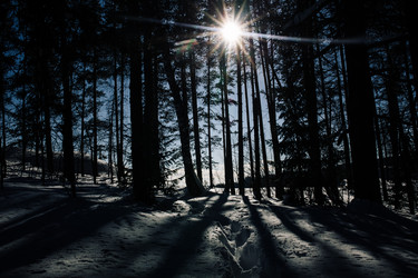 Similar image 10920039