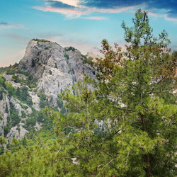 Similar image 10951482