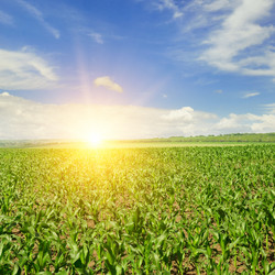 Similar image 10951484