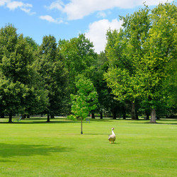 Similar image 10951488