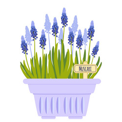 Similar image 10940274