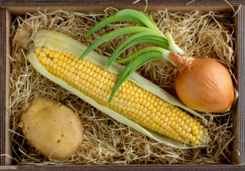 Similar image 10918398