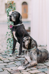 Similar image 10938437