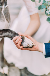 Similar image 10938461