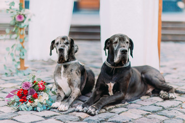 Similar image 10938462