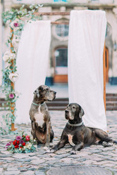 Similar image 10938464