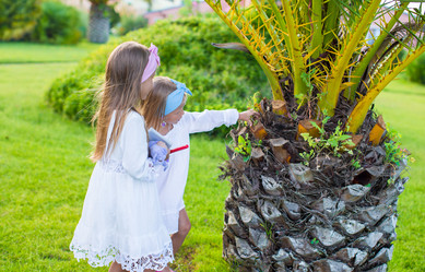 Similar image 10921615