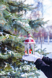 Similar image 10924907