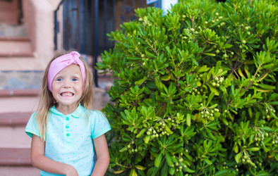 Similar image 10924477