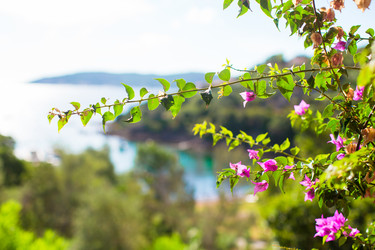 Similar image 10923226