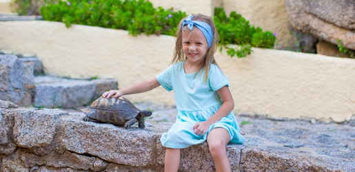 Similar image 10924616