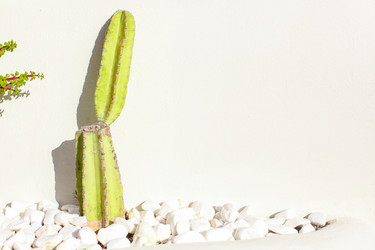 Similar image 10923152