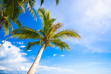 Similar image 10921701