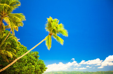 Similar image 10921725