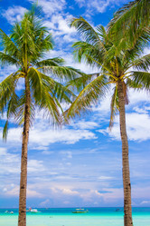 Similar image 10922835