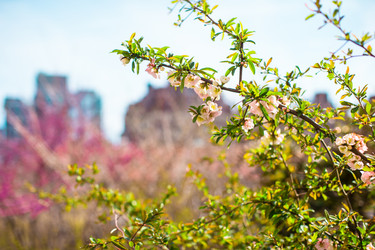 Similar image 10924978