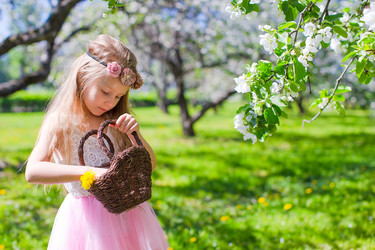 Similar image 10924603