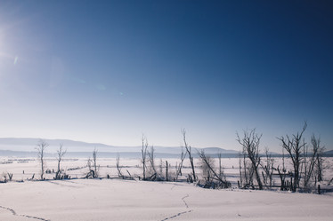 Similar image 10919747