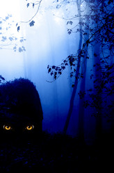 Similar image 10917802