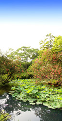 Similar image 10917803