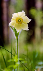 Similar image 10922110