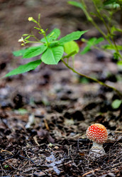 Similar image 10922111