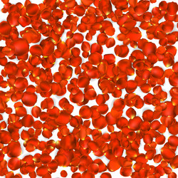 Similar image 10925895