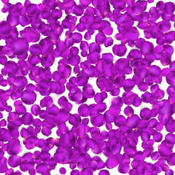 Similar image 10925896