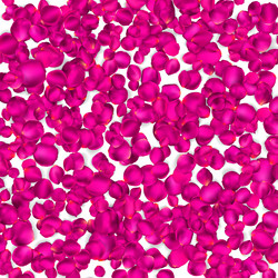 Similar image 10925854