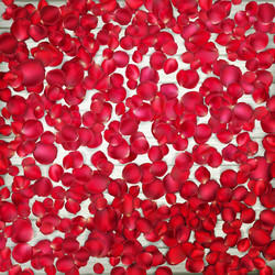 Similar image 10925897