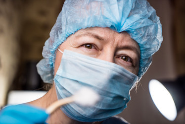 Similar image 10931637