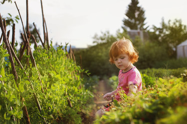 Similar image 10954987