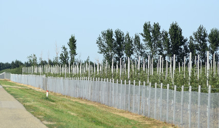 Similar image 10925351