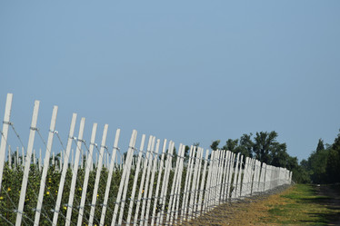 Similar image 10925284