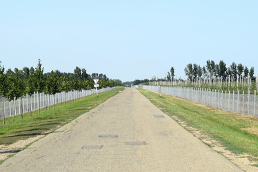 Similar image 10925309