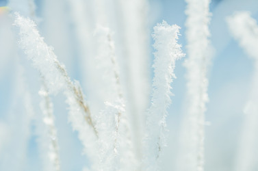 Similar image 10917531