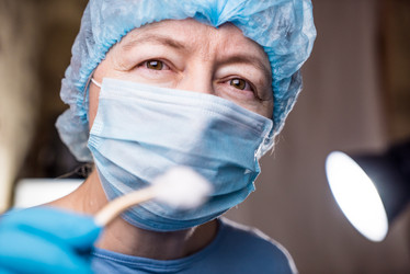 Similar image 10931564