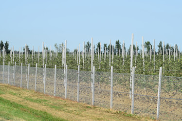 Similar image 10925413