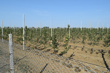 Similar image 10925285