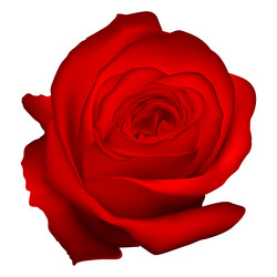 Similar image 10925886