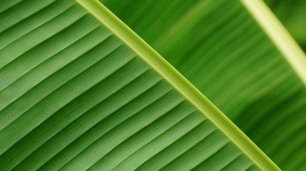 Similar image 10917366