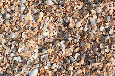 Similar image 10925362