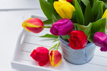 Similar image 10921036