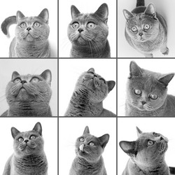 Similar image 10943502