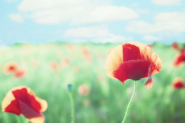 Similar image 10943503