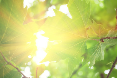 Similar image 10943504