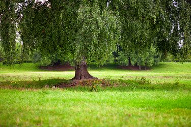 Similar image 10943513