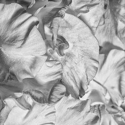 Similar image 10943516