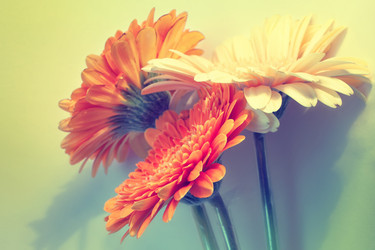 Similar image 10943533