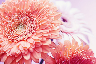 Similar image 10943535